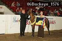 06buckeye_1576 proof