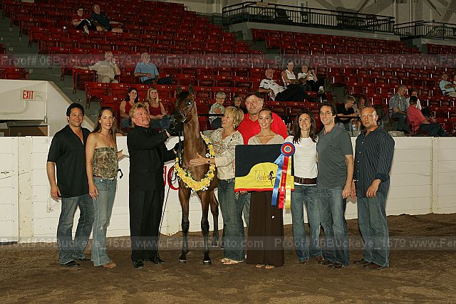 Proof 06buckeye_1579