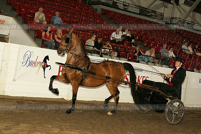 Proof 06buckeye_1583