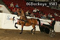 06buckeye_1583 proof