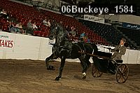 06buckeye_1584 proof