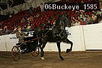 06buckeye_1585 proof