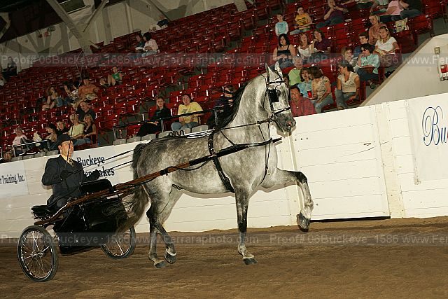 Proof 06buckeye_1586