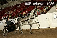 06buckeye_1586 proof