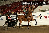 06buckeye_1587 proof
