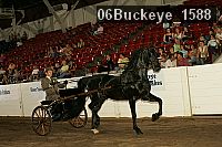 06buckeye_1588 proof