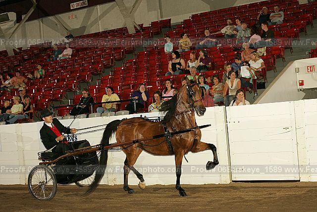 Proof 06buckeye_1589