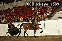 06buckeye_1589 proof