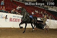 06buckeye_1590 proof