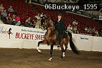 06buckeye_1595 proof