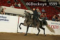 06buckeye_1599 proof