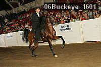 06buckeye_1601 proof