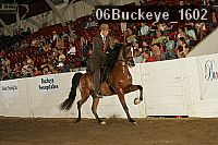 06buckeye_1602 proof