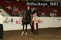 06buckeye_1603 proof