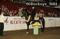 06buckeye_1604 proof