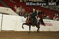 06buckeye_1605 proof