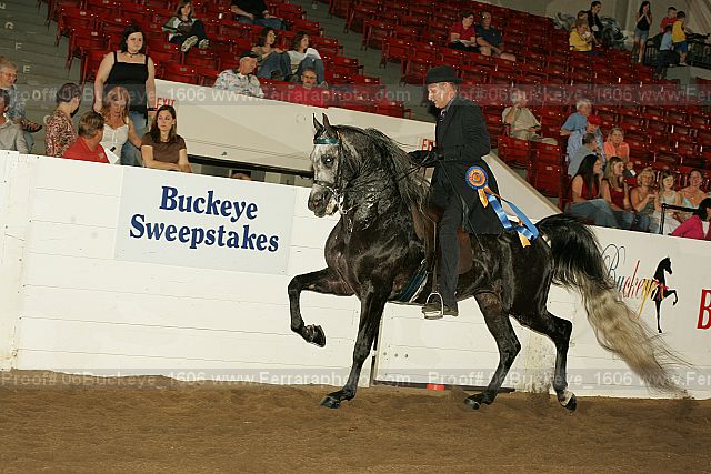 Proof 06buckeye_1606
