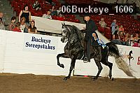 06buckeye_1606 proof