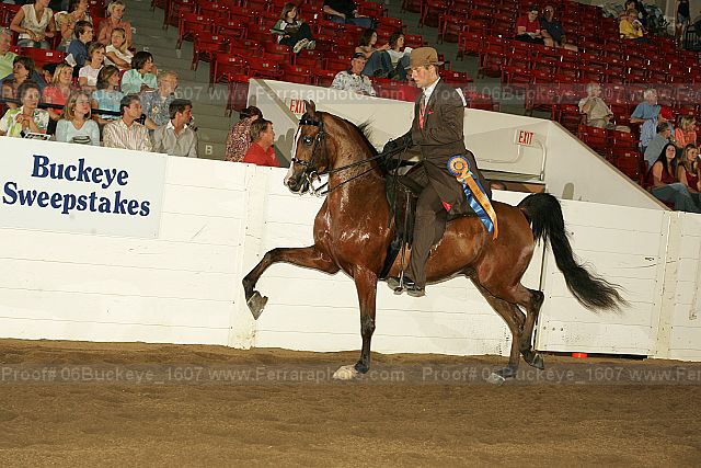 Proof 06buckeye_1607