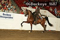 06buckeye_1607 proof