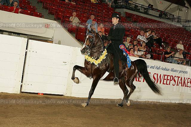 Proof 06buckeye_1609