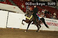 06buckeye_1609 proof