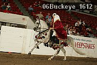 06buckeye_1612 proof