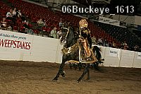 06buckeye_1613 proof