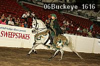 06buckeye_1616 proof