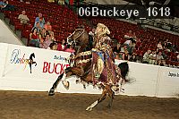 06buckeye_1618 proof