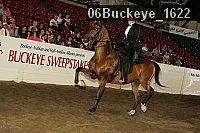 06buckeye_1622 proof