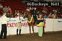 06buckeye_1641 proof