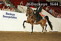 06buckeye_1644 proof