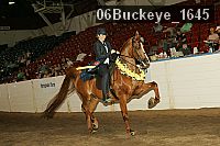 06buckeye_1645 proof