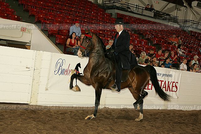 Proof 06buckeye_1649