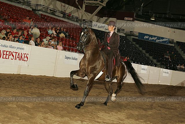 Proof 06buckeye_1650