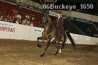 06buckeye_1650 proof