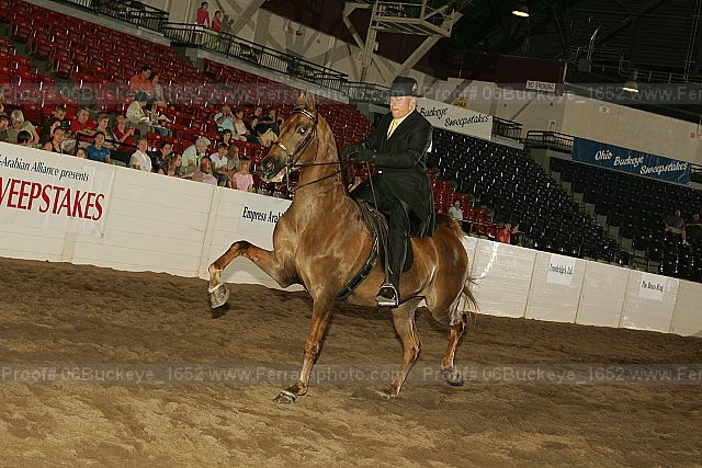 Proof 06buckeye_1652