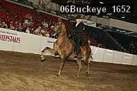 06buckeye_1652 proof