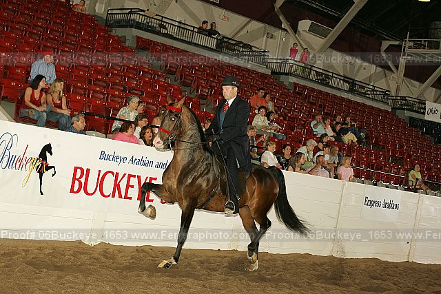Proof 06buckeye_1653