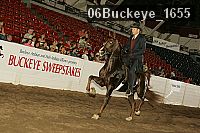 06buckeye_1655 proof
