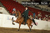 06buckeye_1656 proof