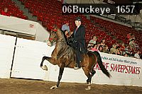 06buckeye_1657 proof