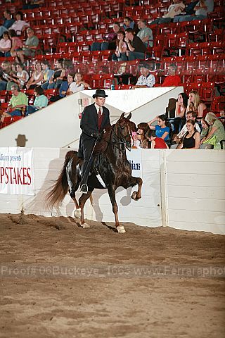 Proof 06buckeye_1663
