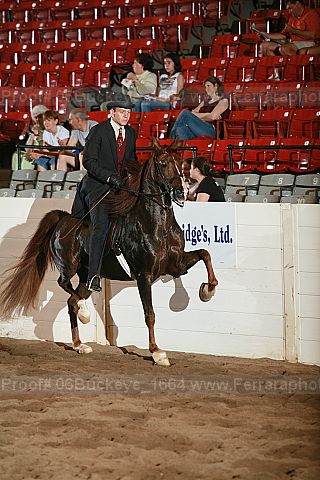 Proof 06buckeye_1664