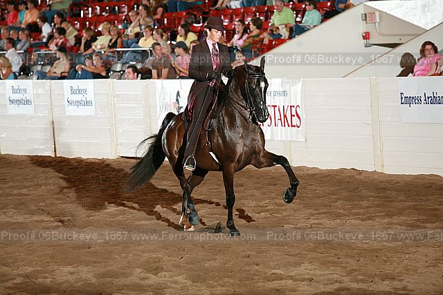 Proof 06buckeye_1667