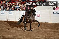 06buckeye_1667 proof
