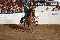 06buckeye_1668 proof