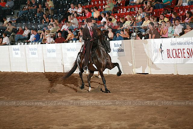 Proof 06buckeye_1669