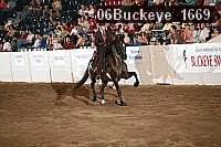 06buckeye_1669 proof